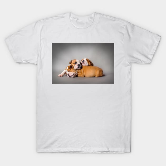 Sleeping Bulldog puppies T-Shirt by PetsArt